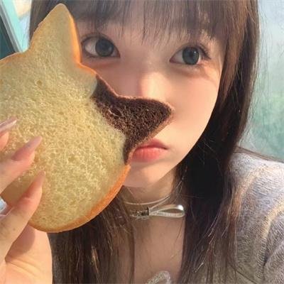 狐狸捕手